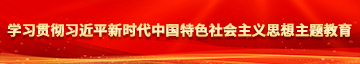 操爆女人网页学习贯彻习近平新时代中国特色社会主义思想主题教育